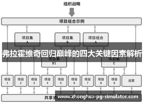 弗拉霍维奇回归巅峰的四大关键因素解析