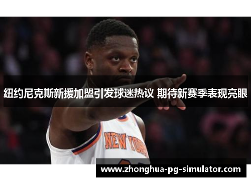 纽约尼克斯新援加盟引发球迷热议 期待新赛季表现亮眼